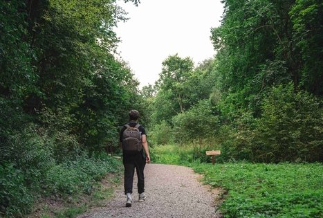 Miško Takas 70. Kaulakiai – Šiluva.