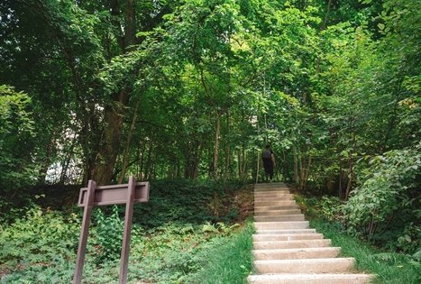 Miško Takas 70. Kaulakiai – Šiluva.