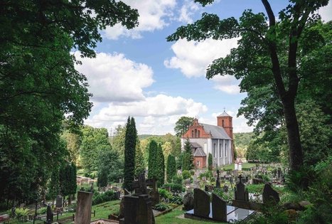 Miško Takas 70. Kaulakiai – Šiluva.