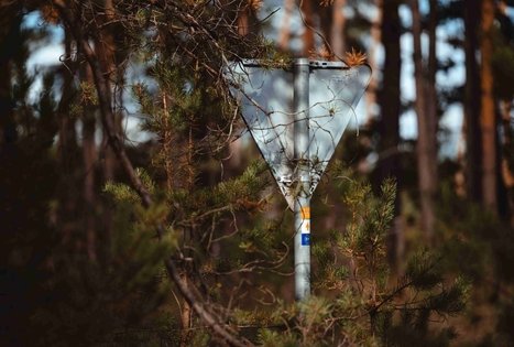 Miško Takas 51. Lazdijai – Veisiejai.