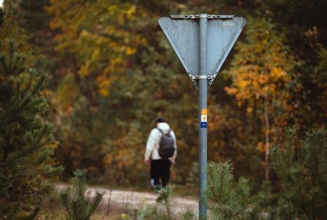 Miško Takas 51. Lazdijai – Veisiejai.