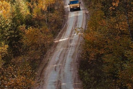 Miško Takas 51. Lazdijai – Veisiejai.