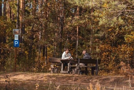 Miško Takas 51. Lazdijai – Veisiejai.