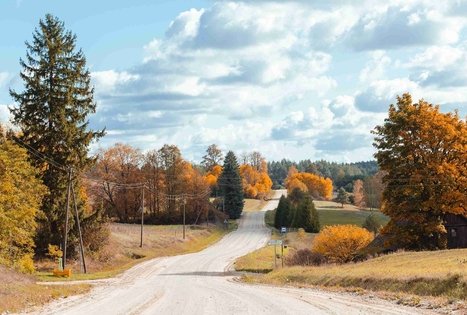 Miško Takas 51. Lazdijai – Veisiejai.