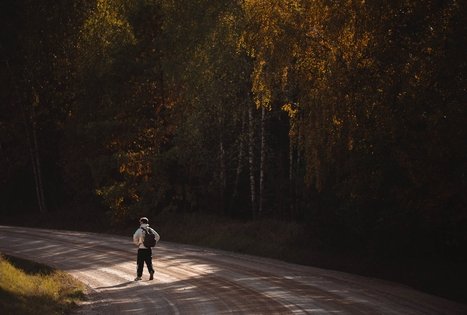 Miško Takas 51. Lazdijai – Veisiejai.