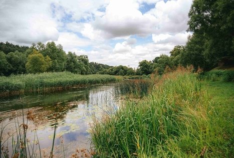 Miško Takas 67. Vilkija – Padubysys.