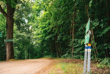 Miško Takas 67. Vilkija – Padubysys.