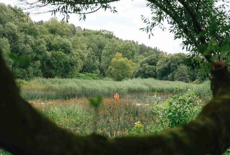 Miško Takas 67. Vilkija – Padubysys.