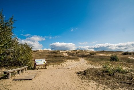 Naglių gamtinio rezervato pažintinis takas
