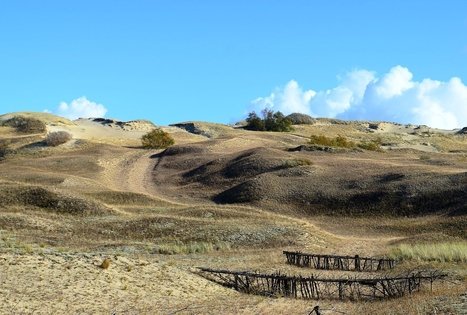 Naglių gamtinio rezervato pažintinis takas