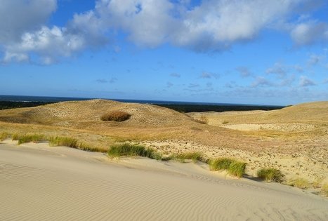 Naglių gamtinio rezervato pažintinis takas