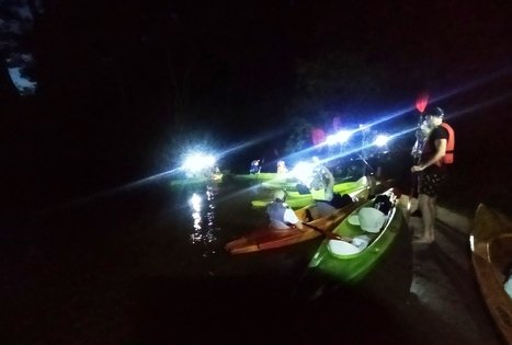 Įmonių renginiai gamtoje