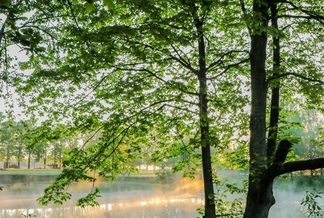 Sodyba „Narūnas“