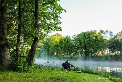 Sodyba „Narūnas“