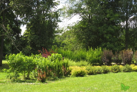 Naujenės kraštotyros muziejus ir Juzefovos parkas