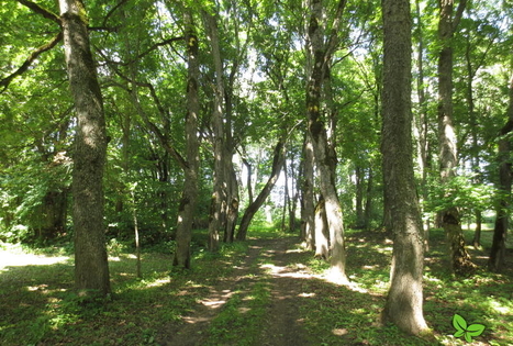 Naujenės kraštotyros muziejus ir Juzefovos parkas