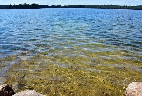 Sodyba „Vencavas“