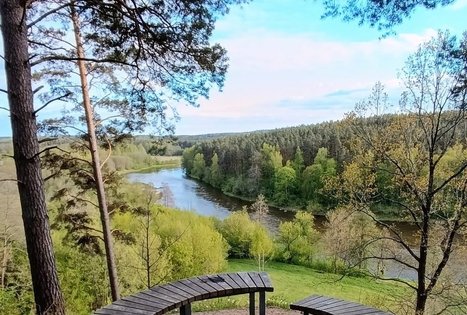 Viena kelionė, trys patirtys