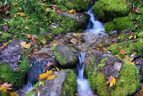 Nečiuikų šaltinis