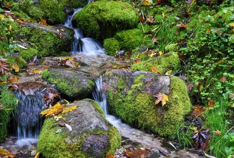 Nečiuikų šaltinis