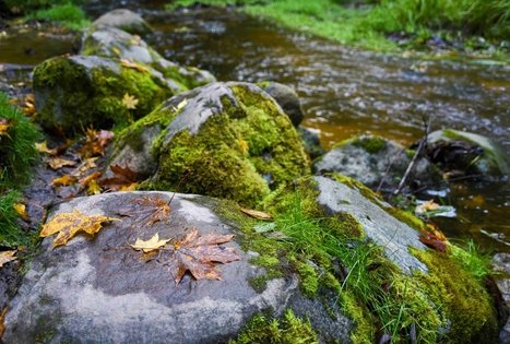 Nečiuikų šaltinis