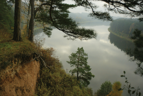 Nemuno kilpų regioninis parkas