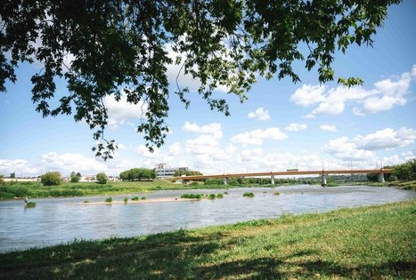 Miško Takas 64. Kaunas – Lampėdžiai.