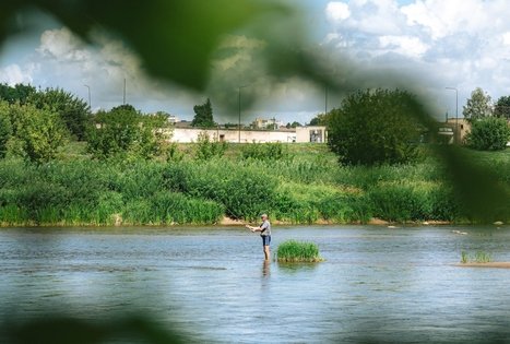 Miško Takas 64. Kaunas – Lampėdžiai.