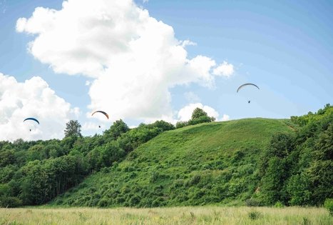 Miško Takas 65. Lampėdžiai – Kulautuva.