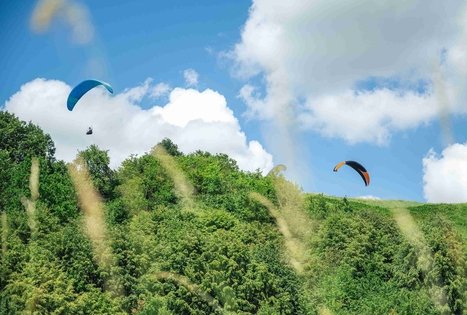 Miško Takas 65. Lampėdžiai – Kulautuva.