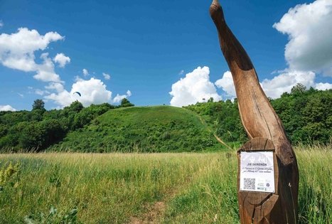 Miško Takas 65. Lampėdžiai – Kulautuva.