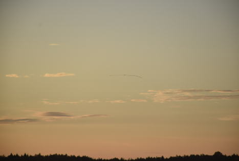 Novaraisčio valstybinis ornitologinis draustinis