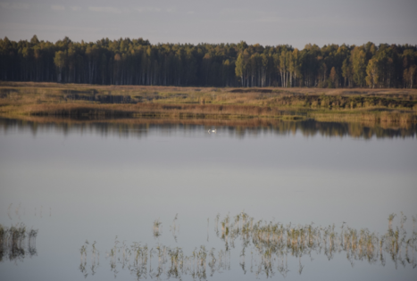 Novaraisčio valstybinis ornitologinis draustinis