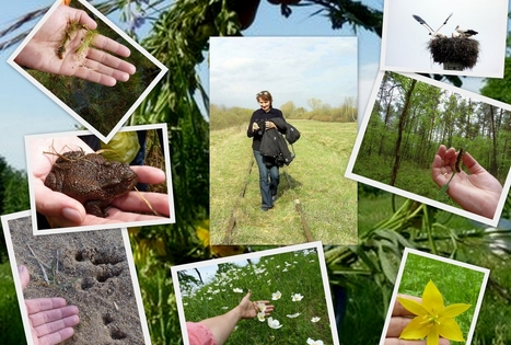 Kemperių stovyklavietė „Pajiešmeniai“