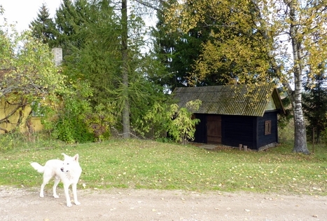 Kemperių stovyklavietė „Pajiešmeniai“
