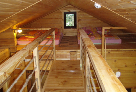 Pirtelė miško apsupty