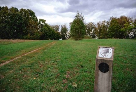 Miško Takas 62. Pakuonis – Vaišvydava.