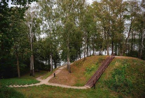 Miško Takas 62. Pakuonis – Vaišvydava.