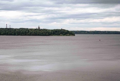 Miško Takas 62. Pakuonis – Vaišvydava.