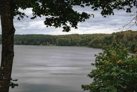 Miško Takas 62. Pakuonis – Vaišvydava.