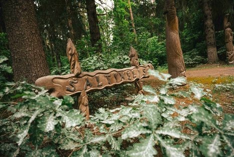 Miško Takas 67. Vilkija – Padubysys.