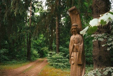 Miško Takas 67. Vilkija – Padubysys.