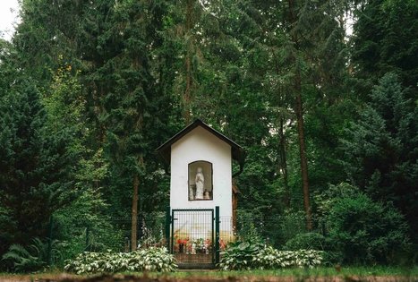 Miško Takas 67. Vilkija – Padubysys.