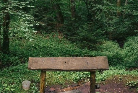 Miško Takas 67. Vilkija – Padubysys.