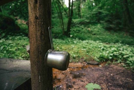 Miško Takas 67. Vilkija – Padubysys.