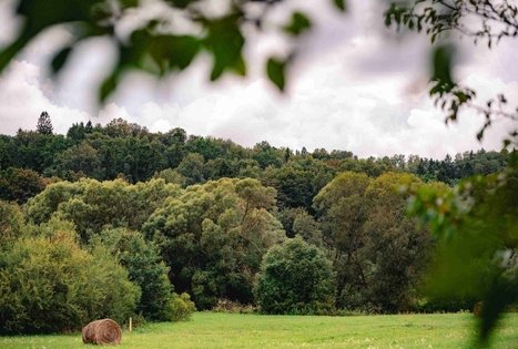 Miško Takas 69. Kirkšnovė – Kaulakiai.