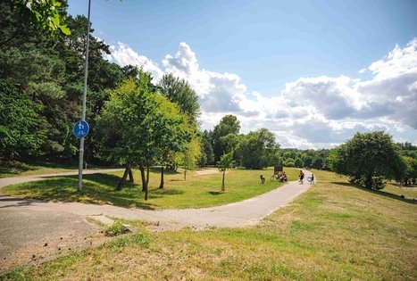 Miško Takas 63. Vaišvydava – Kaunas.