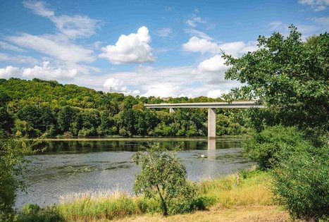 Miško Takas 63. Vaišvydava – Kaunas.