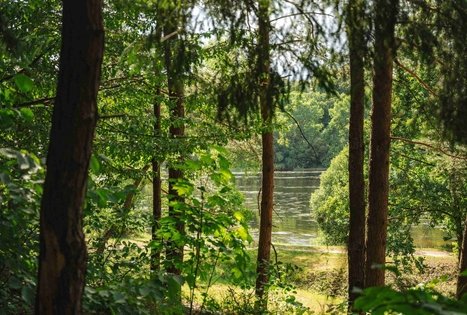 Miško Takas 63. Vaišvydava – Kaunas.