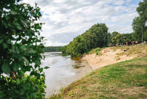 Miško Takas 63. Vaišvydava – Kaunas.